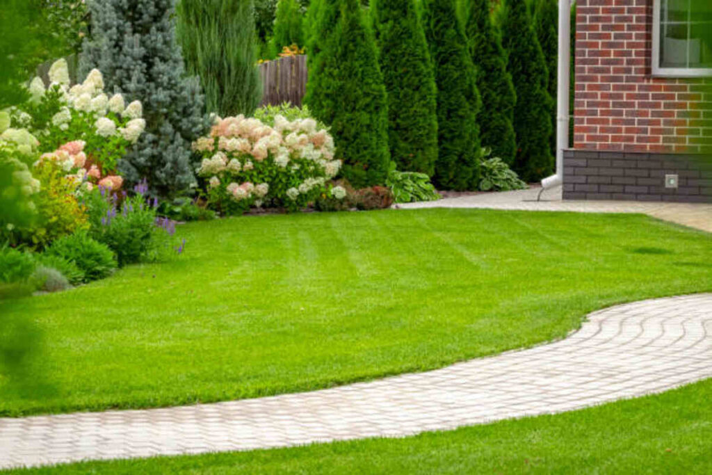 landscaper mountain view