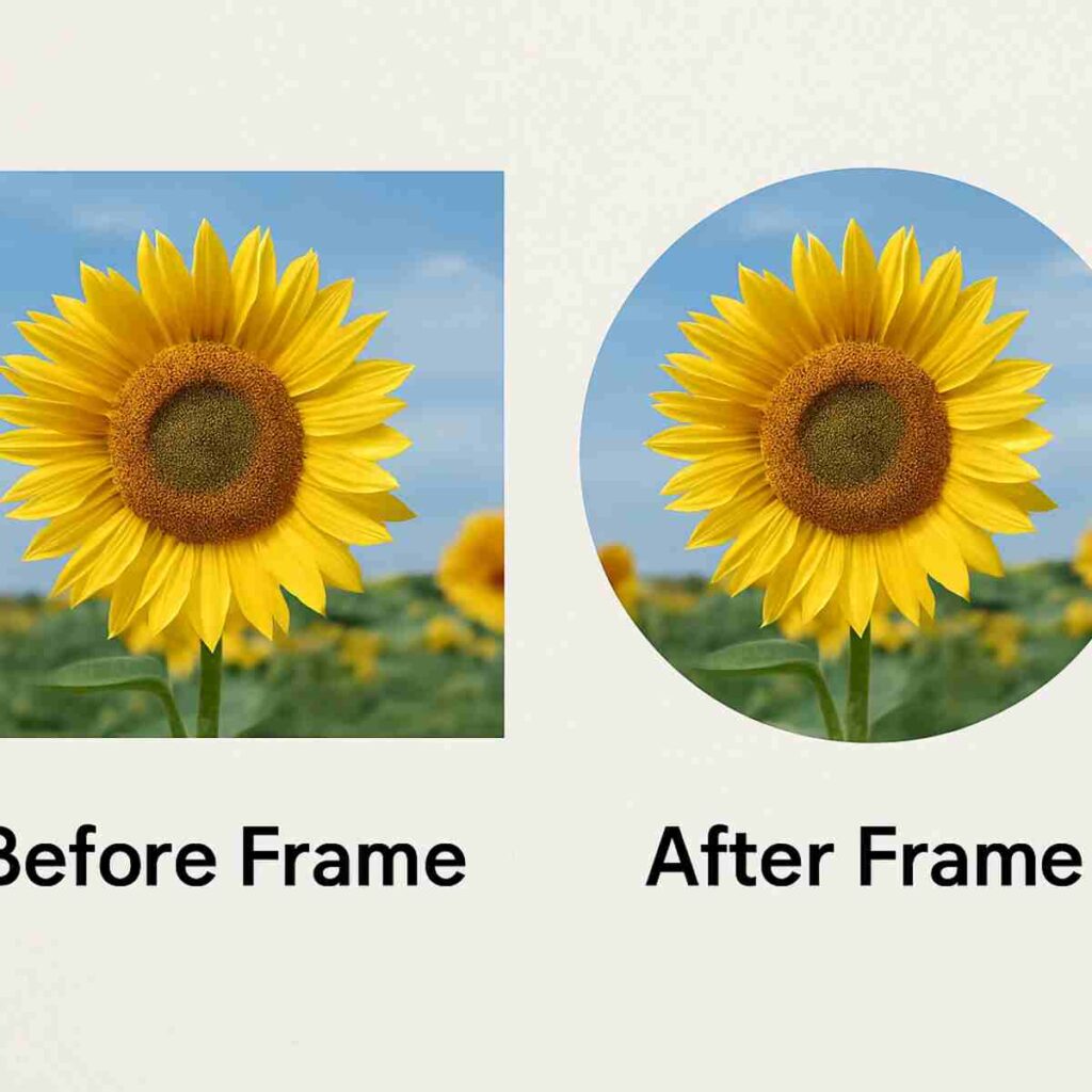 Canva course